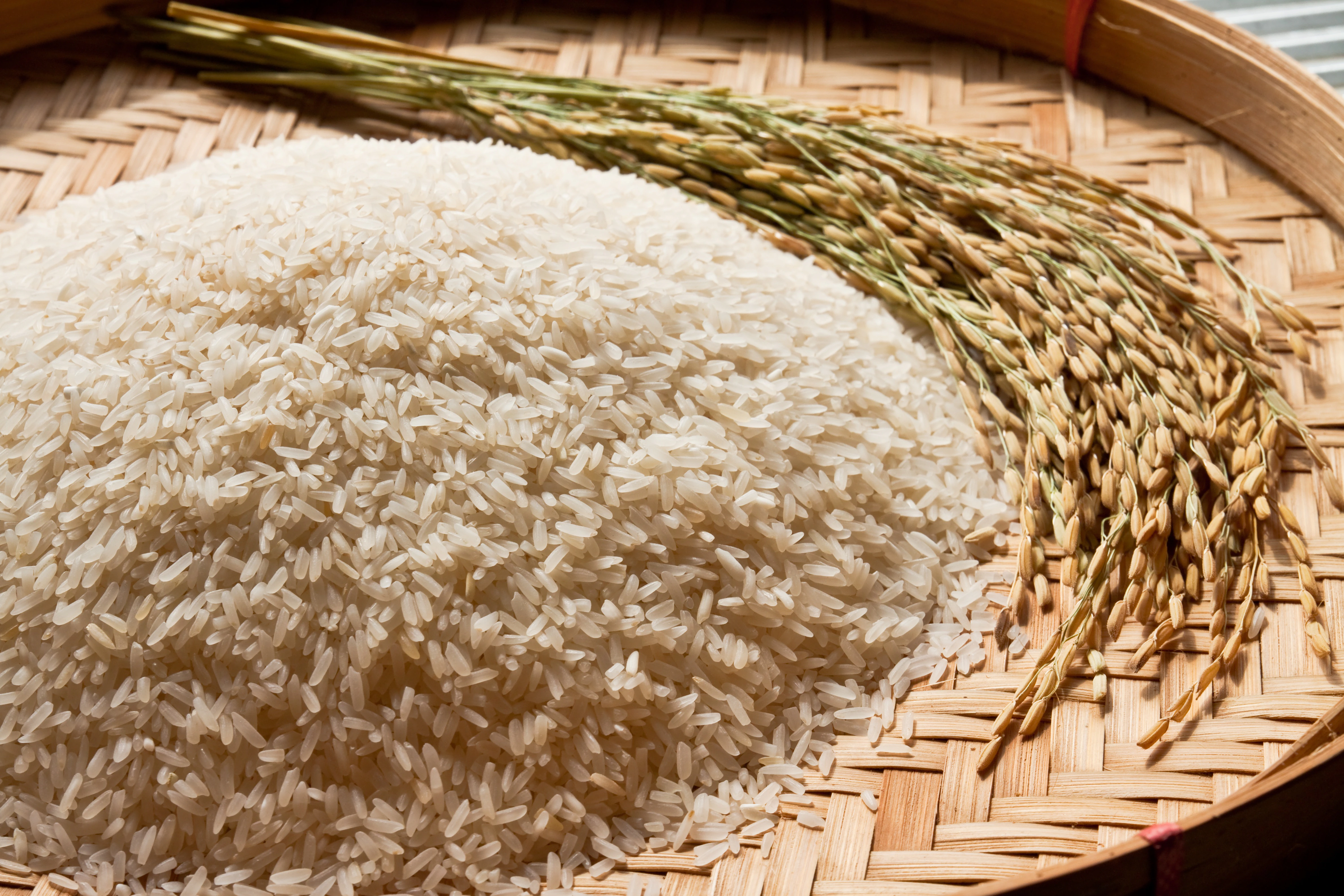 Premium Rice