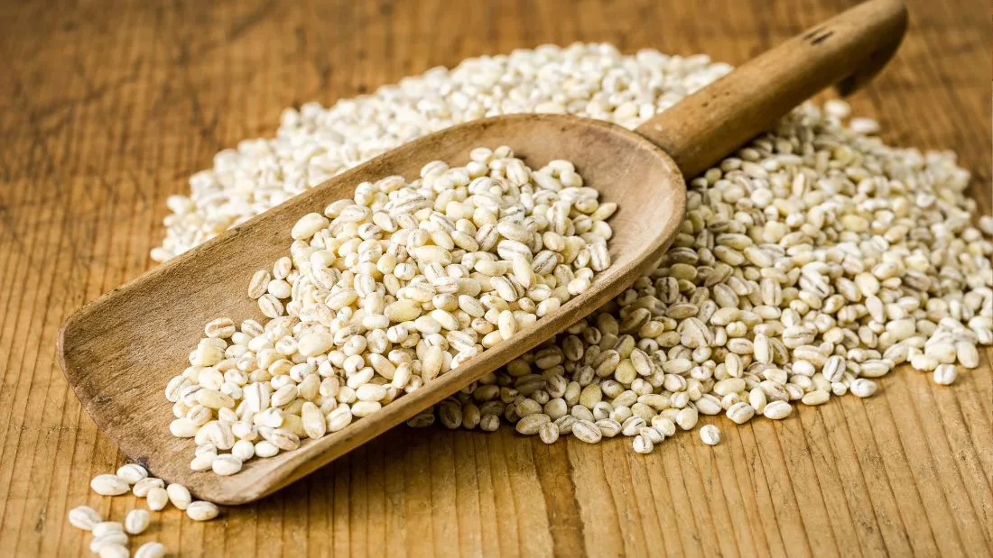 Barley
