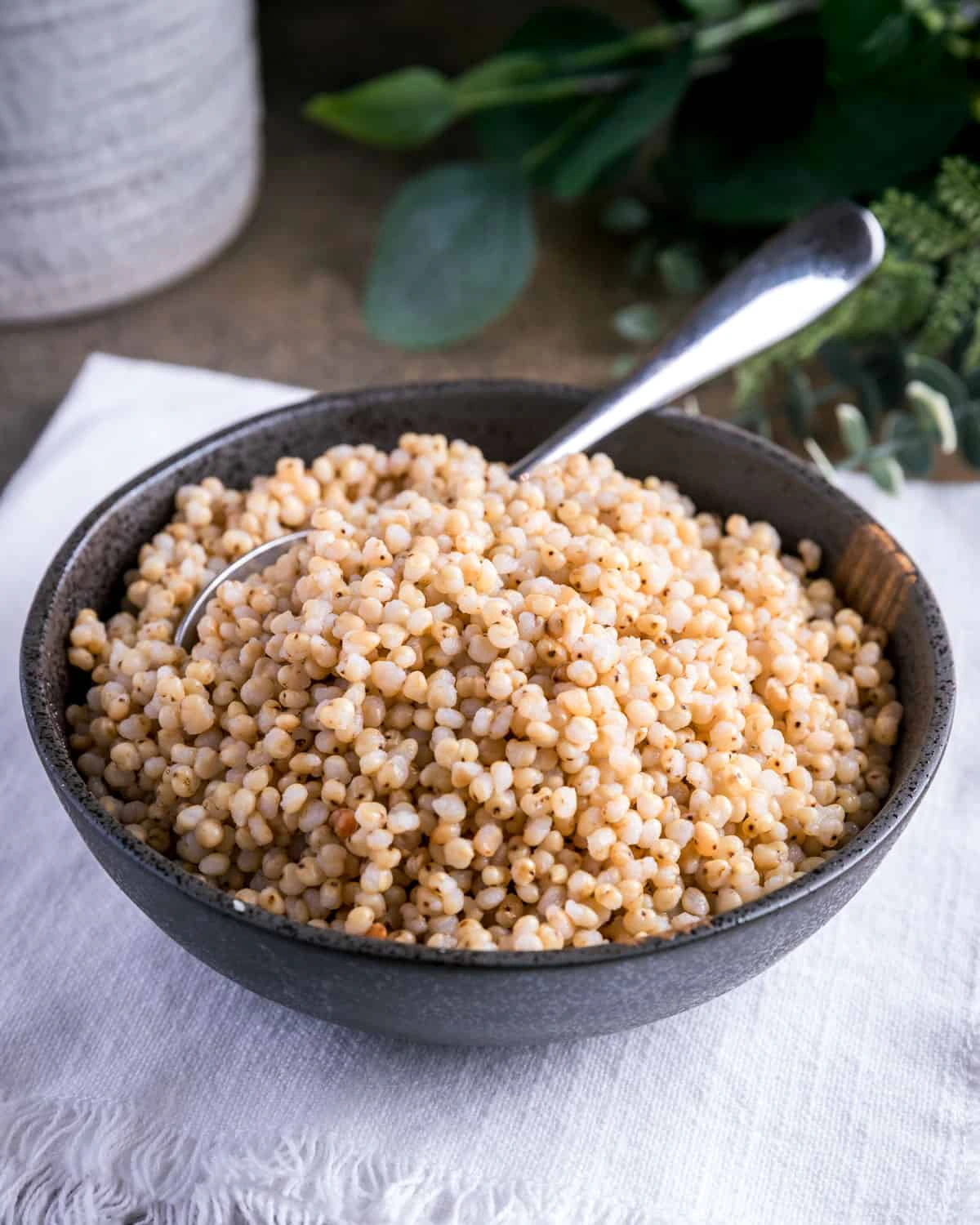 Sorghum